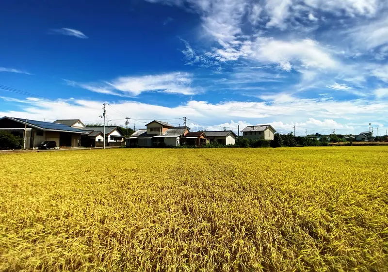 家いちば 空き家売ります掲示板